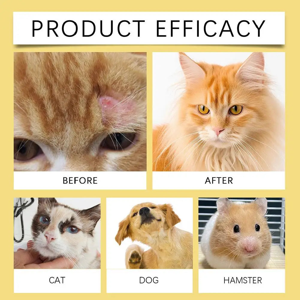 Pet Skin Spray Dog & Cat Skin Care Spray, Soothing & Spray Softening Anti-Itch Cleansing Skin, Nourishing Soothing Spray Ca C7H4