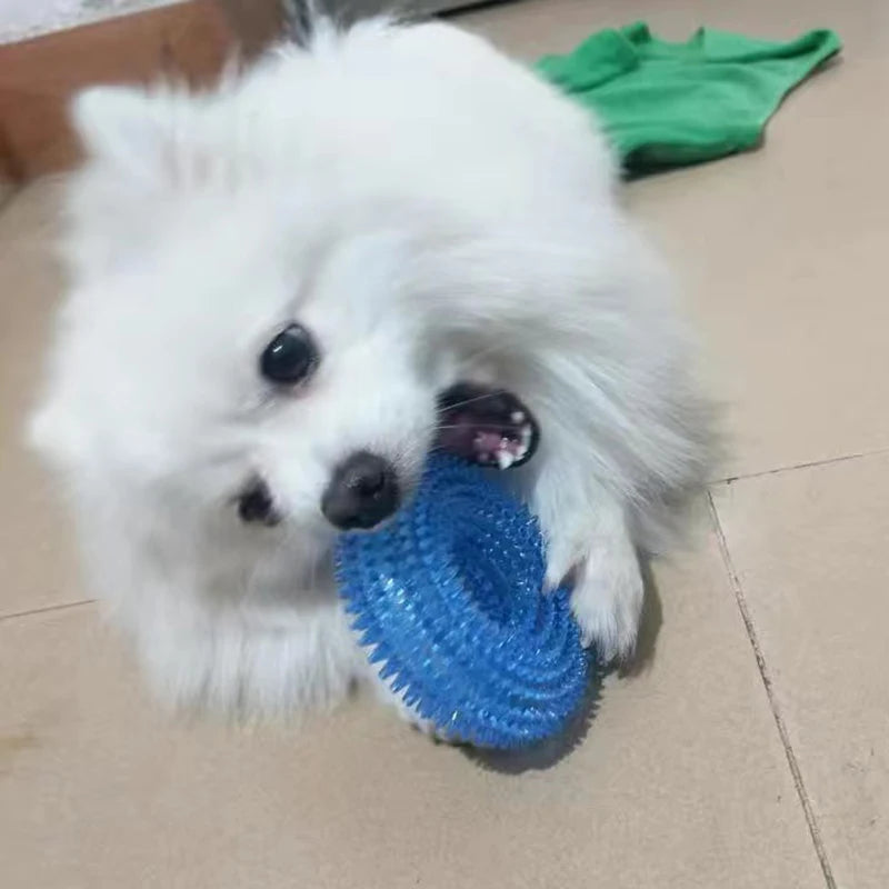 Strong Donut TPR Pet Dog Chew Toys with Squeak for Small Medium Dogs French Bulldog Corgi Border Shepherd Puppy Pets Accessories