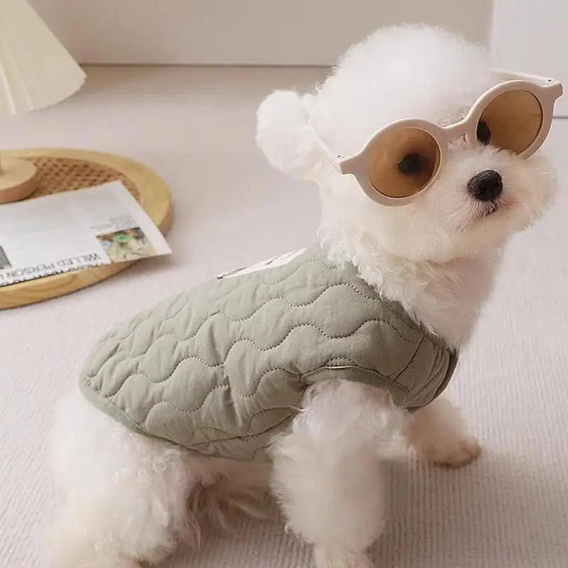 Winter Pet Coat Clothes for Cold Weather Clothing Warm Dog Clothes with Built in Harness Hole Pet Apparel Cozy Snow Vest