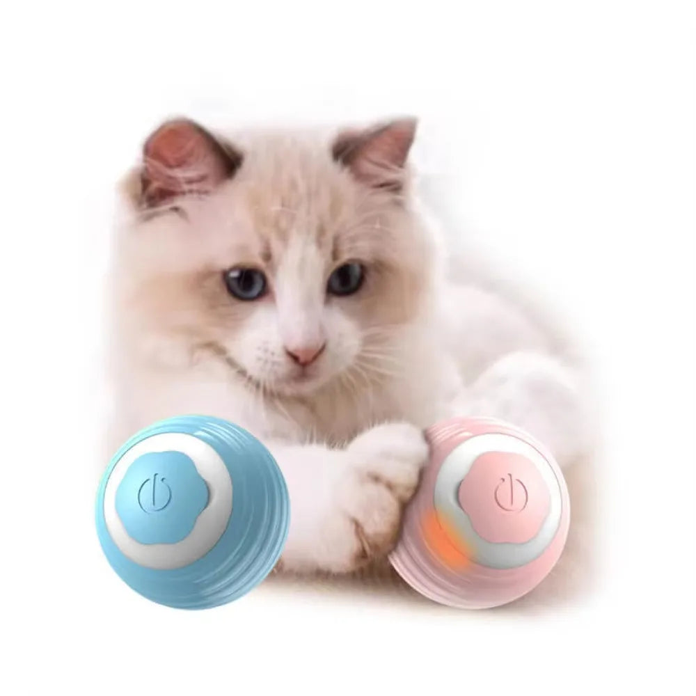Pet's Cat Toy Ball,Wloom Cat Toy,Magic Rolling and Sound Ball for Indoor Playing Stimulate Hunting Instinct for Your Kitty