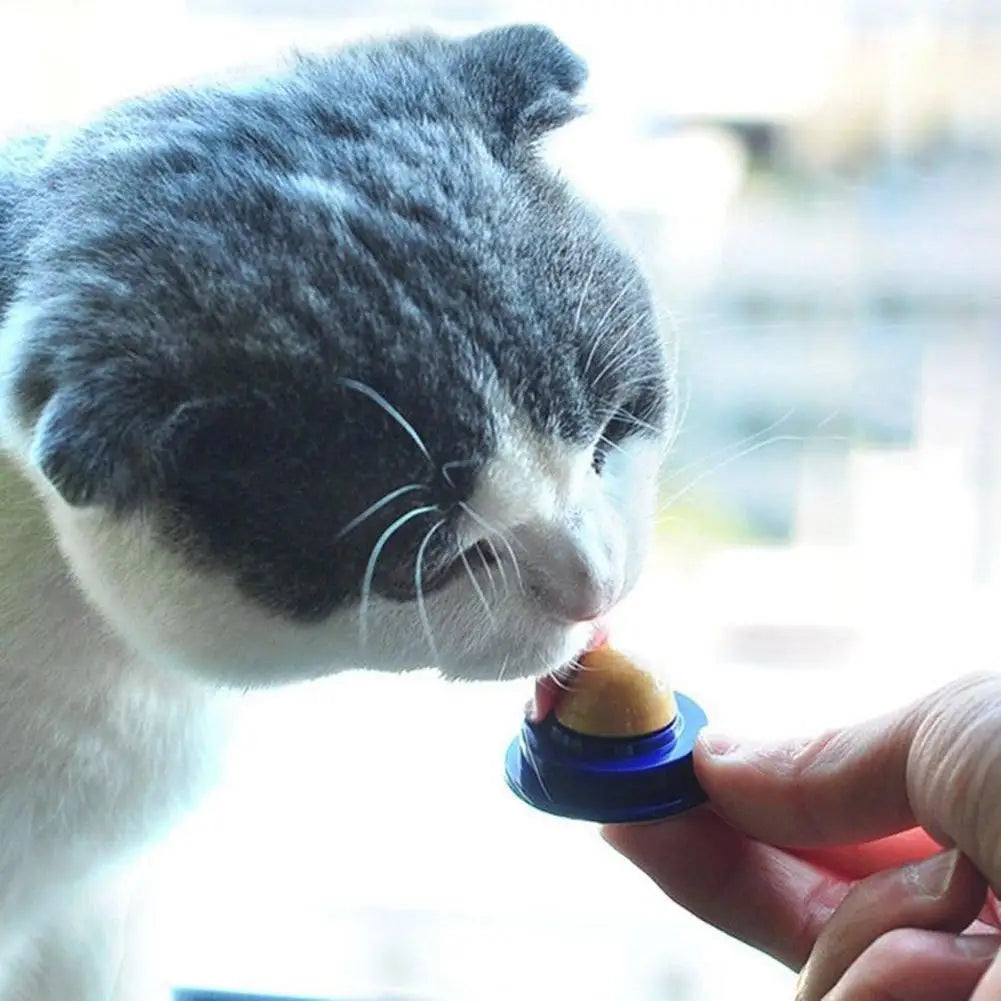 Cat Power Pill Energy Ball Catnip Healthy Nutrition Pasted Catnip Sugar Snacks Goods For Pet Products