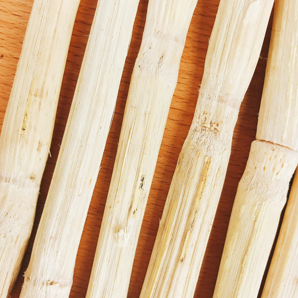 1 Pack 500g Hamster Molar Rod Stick Pet Snacks Chew Toys for Rabbit Hamsters Chinchillas