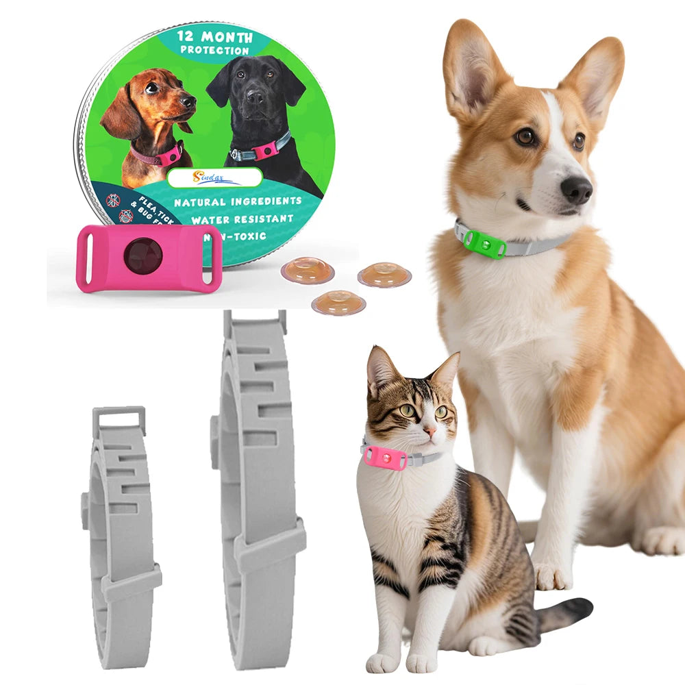 Dog Collar Anti - Flea & Tick Essential Oil Pendant Dog Cats Safe Adjustable Collar Pet Tags with Essential Oils to Repel Pests