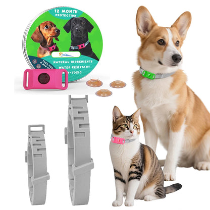 Dog Collar Anti - Flea & Tick Essential Oil Pendant Dog Cats Safe Adjustable Collar Pet Tags with Essential Oils to Repel Pests
