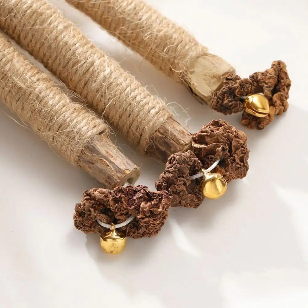 1/2/5/10PCS Pet Toy Natural Pet Cat Snacks Stick Cleaning Tooth Catnip Cat Toys Actinidia Silvervine For Training Cats Accessory
