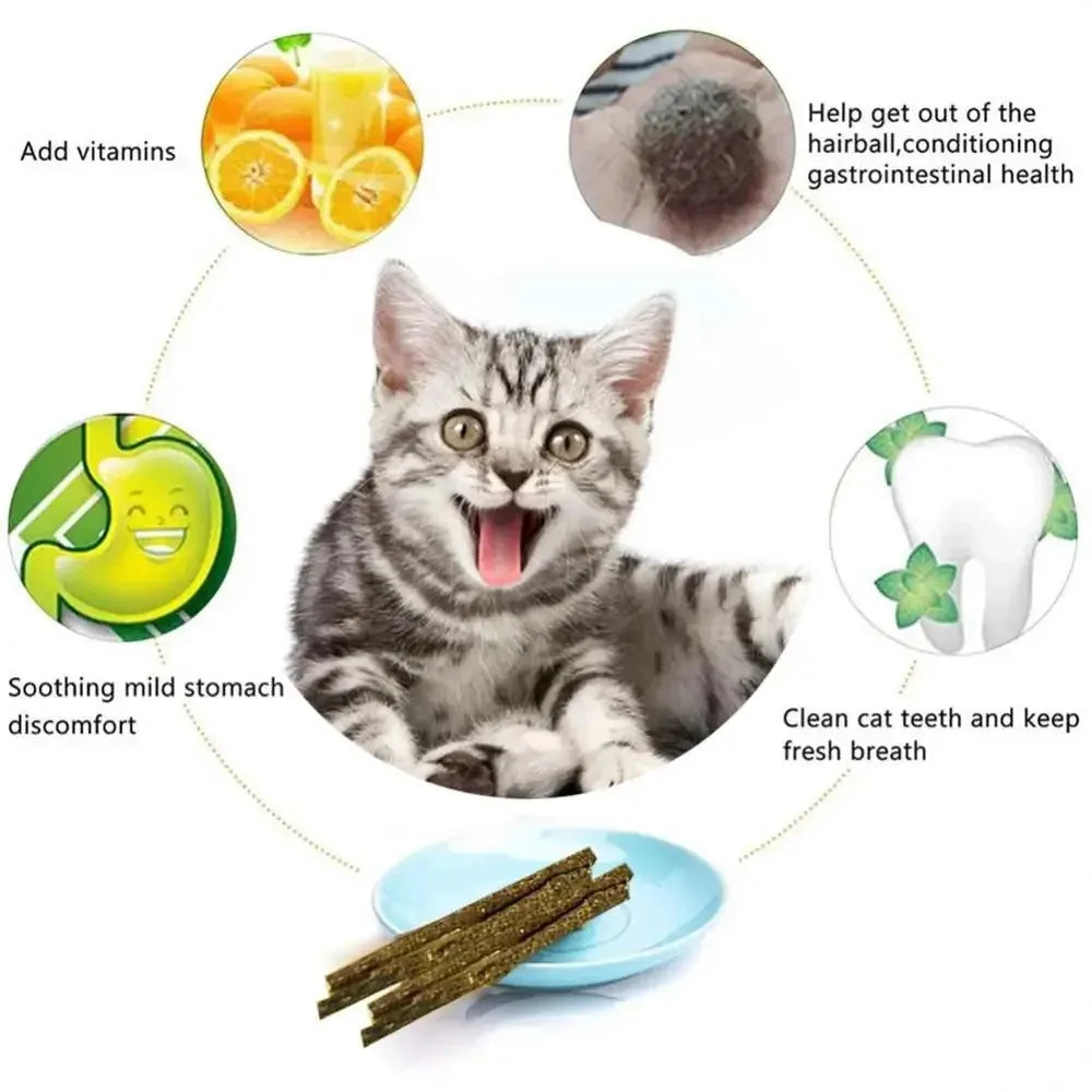 1-3pcs Natural Catnip Pet Cat Molar Toothpaste Stick Cat Snacks Sticks Pet Cleaning Teeth Cat Toys Silver Vine Pet Toy