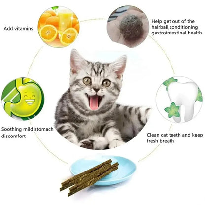 1-3pcs Natural Catnip Pet Cat Molar Toothpaste Stick Cat Snacks Sticks Pet Cleaning Teeth Cat Toys Silver Vine Pet Toy
