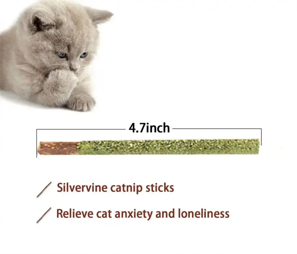 1-3pcs Natural Catnip Pet Cat Molar Toothpaste Stick Cat Snacks Sticks Pet Cleaning Teeth Cat Toys Silver Vine Pet Toy