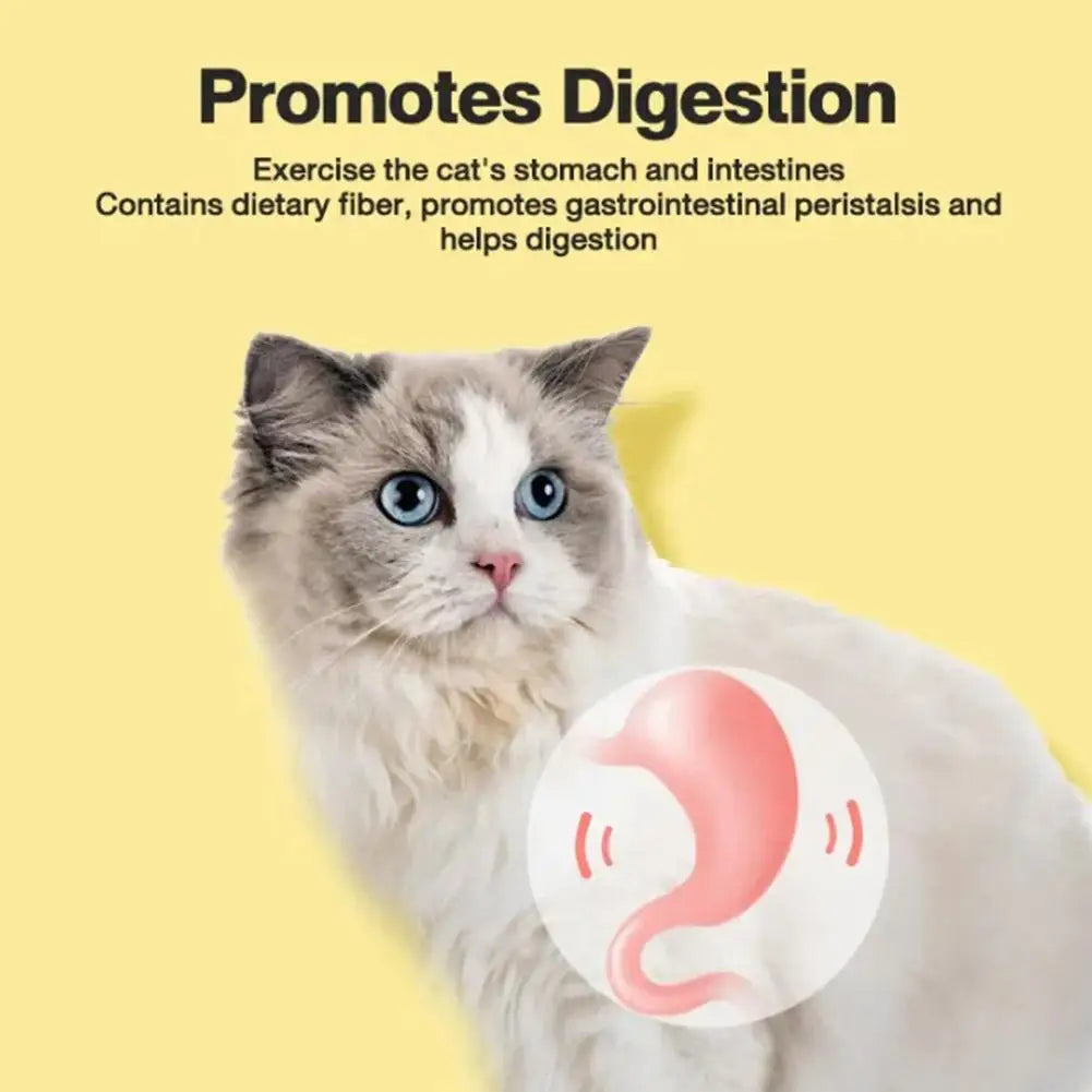 1/2/5/10PCS Pet Toy Natural Pet Cat Snacks Stick Cleaning Tooth Catnip Cat Toys Actinidia Silvervine For Training Cats Accessory