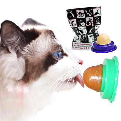 Cat Power Pill Energy Ball Catnip Healthy Nutrition Pasted Catnip Sugar Snacks Goods For Pet Products