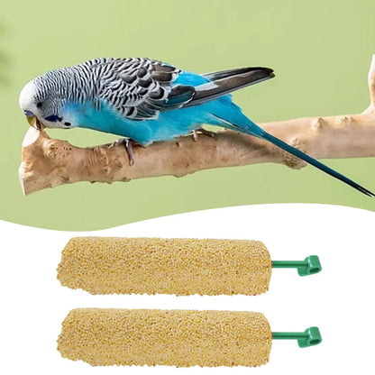 2PCS Parakeet Treats Sticks Bird Snacks Training Food Rewards Chewing Foraging Snacks for Myna Parakeet Finch Conure Parrot