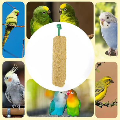 2PCS Parakeet Treats Sticks Bird Snacks Training Food Rewards Chewing Foraging Snacks for Myna Parakeet Finch Conure Parrot