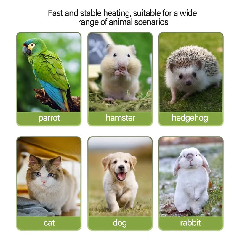 Pet Parrot Heater Preservation Cage Heating Lamp Anti-bite Anti-scalding Reptile Warm Lights Accessories Bird Supplies 220V