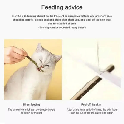 1-3pcs Natural Catnip Pet Cat Molar Toothpaste Stick Cat Snacks Sticks Pet Cleaning Teeth Cat Toys Silver Vine Pet Toy