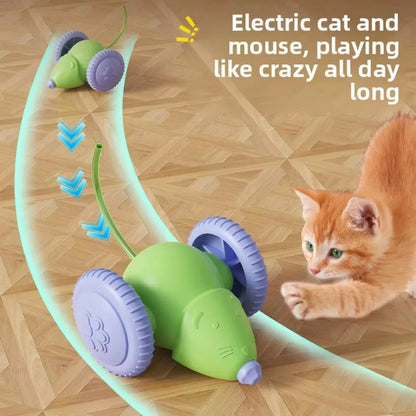 Pet's Cat Toy Ball,Wloom Cat Toy,Magic Rolling and Sound Ball for Indoor Playing Stimulate Hunting Instinct for Your Kitty