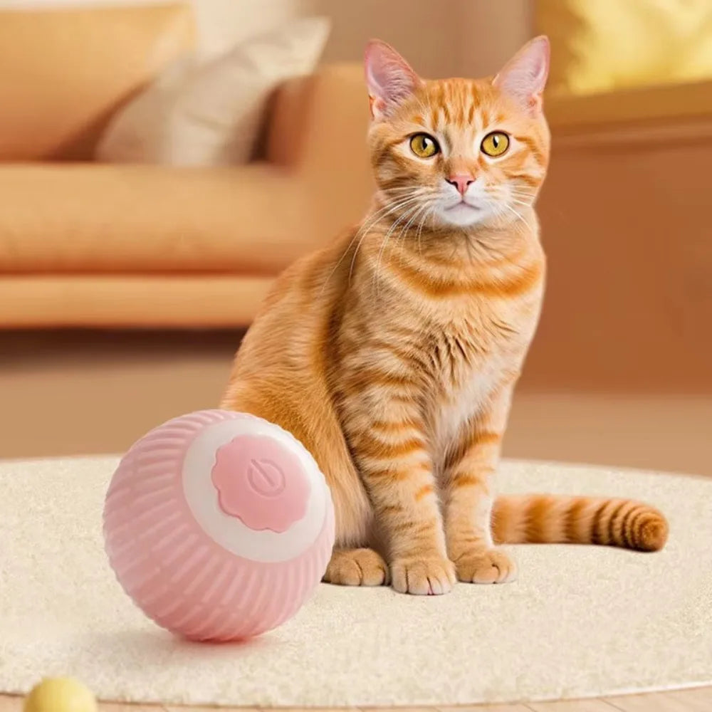 Pet's Cat Toy Ball,Wloom Cat Toy,Magic Rolling and Sound Ball for Indoor Playing Stimulate Hunting Instinct for Your Kitty