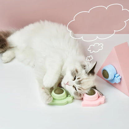 Pet Stuff Healthy Cat Catnip Toys Ball Cat Candy Licking Snacks Catnip Snack Nutrition Energy Ball Kitten Cat Toy Cat Supplies