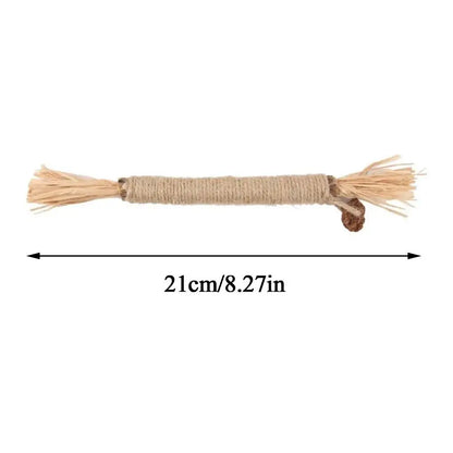 1/2/5/10PCS Pet Toy Natural Pet Cat Snacks Stick Cleaning Tooth Catnip Cat Toys Actinidia Silvervine For Training Cats Accessory