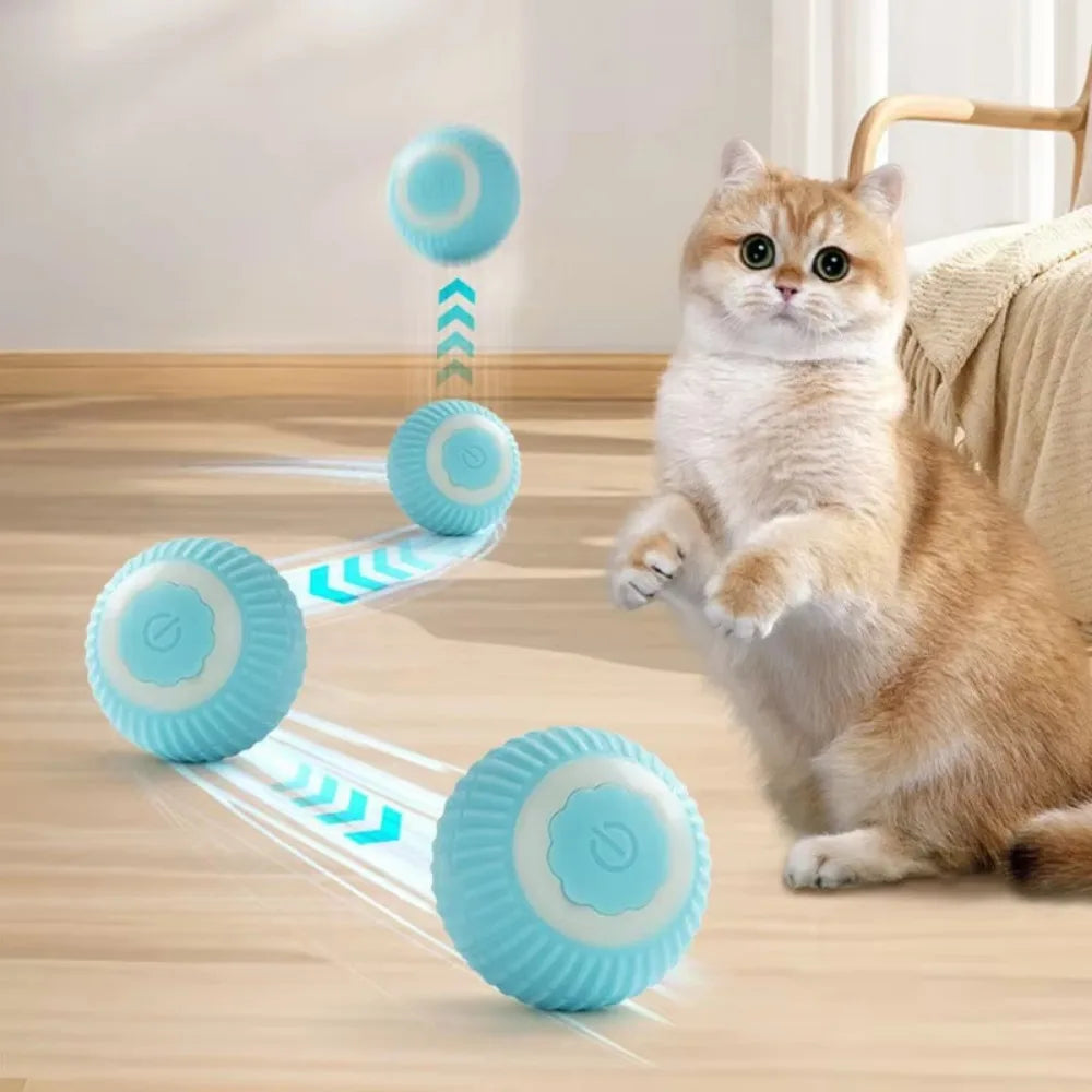Pet's Cat Toy Ball,Wloom Cat Toy,Magic Rolling and Sound Ball for Indoor Playing Stimulate Hunting Instinct for Your Kitty