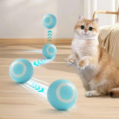 Pet's Cat Toy Ball,Wloom Cat Toy,Magic Rolling and Sound Ball for Indoor Playing Stimulate Hunting Instinct for Your Kitty