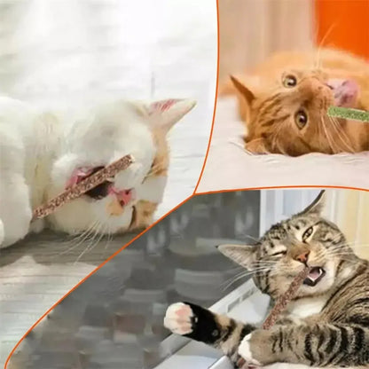 1-3pcs Natural Catnip Pet Cat Molar Toothpaste Stick Cat Snacks Sticks Pet Cleaning Teeth Cat Toys Silver Vine Pet Toy