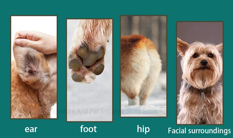 4-In-1 Pet Grooming And Care Set 4Different Blades Pet Hair Shaver Low Noise Pet Clippers Rechargeable Cordless Safe Dog Trimmer