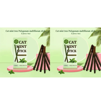 1-3pcs Natural Catnip Pet Cat Molar Toothpaste Stick Cat Snacks Sticks Pet Cleaning Teeth Cat Toys Silver Vine Pet Toy