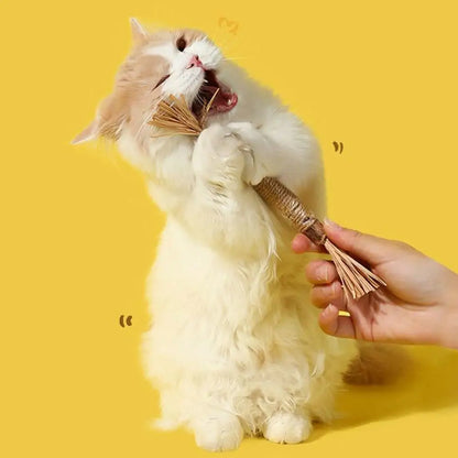 1/2/5/10PCS Pet Toy Natural Pet Cat Snacks Stick Cleaning Tooth Catnip Cat Toys Actinidia Silvervine For Training Cats Accessory