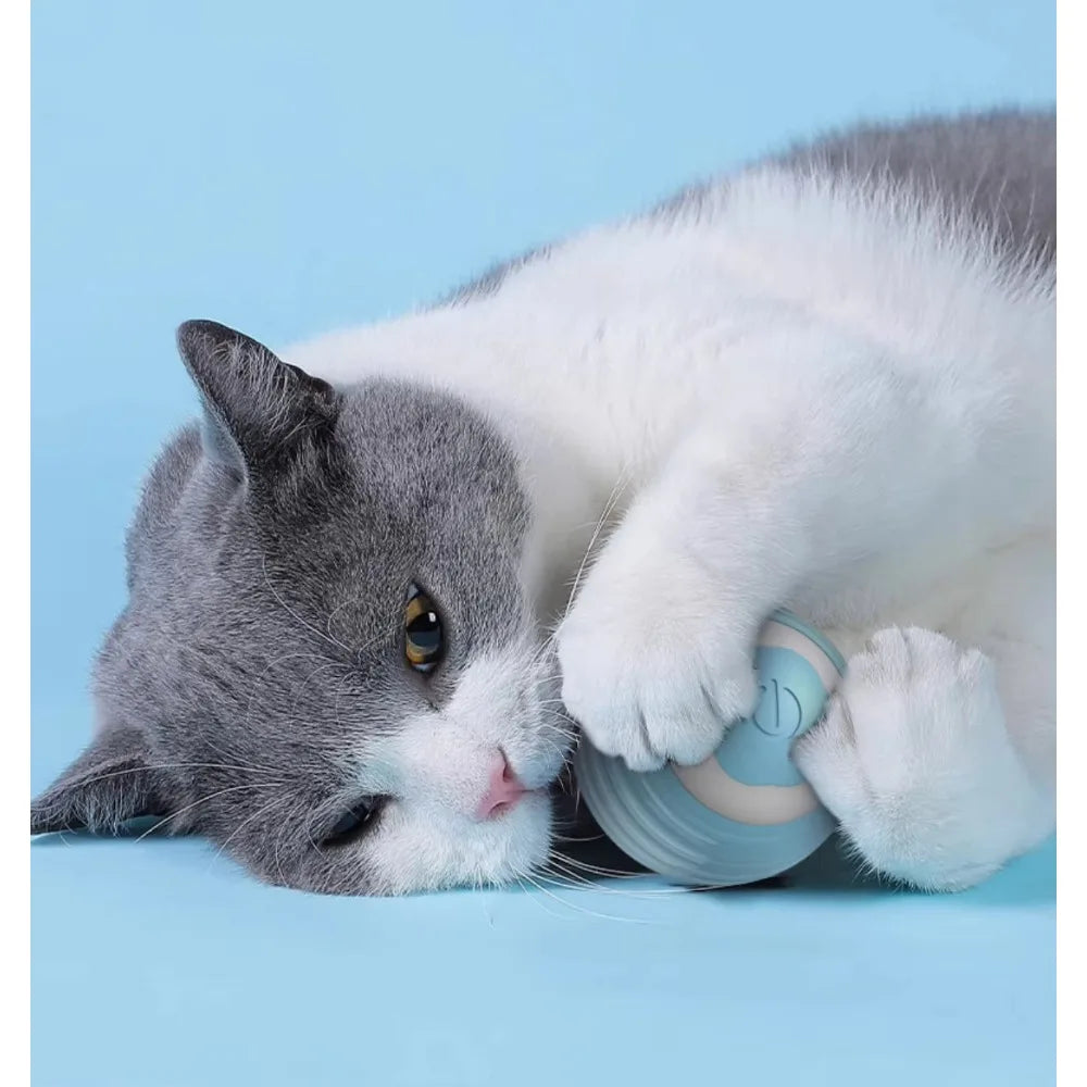 Pet's Cat Toy Ball,Wloom Cat Toy,Magic Rolling and Sound Ball for Indoor Playing Stimulate Hunting Instinct for Your Kitty