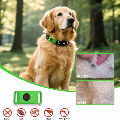 Dog Collar Anti - Flea & Tick Essential Oil Pendant Dog Cats Safe Adjustable Collar Pet Tags with Essential Oils to Repel Pests