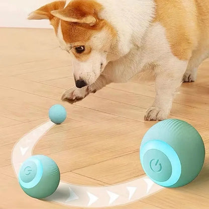 Pet's Cat Toy Ball,Wloom Cat Toy,Magic Rolling and Sound Ball for Indoor Playing Stimulate Hunting Instinct for Your Kitty