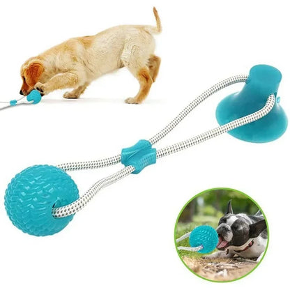 Pet Toys for Small Dogs, Rubber Dog Toy, Dog Push Toy with TPR Ball, Pet Tooth Cleaning Chewing Toy with Suction Cup