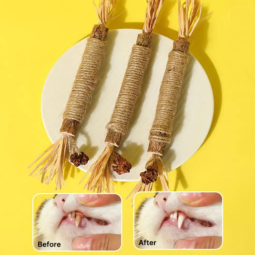 1/2/5/10PCS Pet Toy Natural Pet Cat Snacks Stick Cleaning Tooth Catnip Cat Toys Actinidia Silvervine For Training Cats Accessory