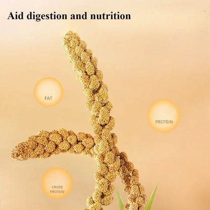 Parakeet snack grain with shell yellow millet Xuanphoenix tiger skin feed bird food bird food Wenbird pearl bird snack