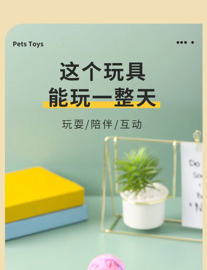 Pet Cat Toys Self Entertaining Chew and Tease Cats Toys with Bell Kitten Colored Balls Interactive Toys Pet Products Accessories