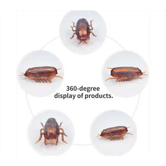 Funny Simulation of Cockroaches Pet Cat Dog Kitten Interactive Training Play Toy