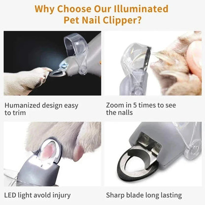 LED Pet Nail Clippers With Light Cat Dog Cleaning Scissors Nail Toeclaw Cutter Scissors Pet Luminous Nail Clippers Pet Supply