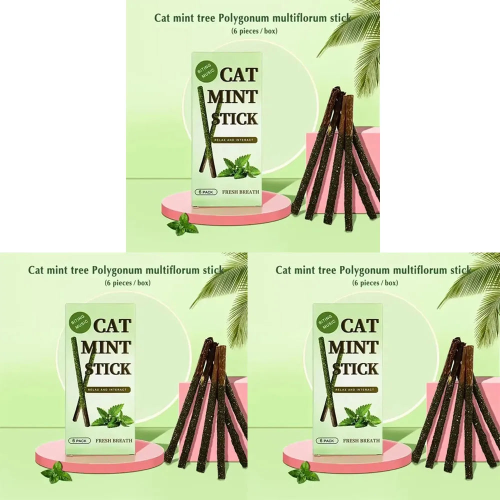 1-3pcs Natural Catnip Pet Cat Molar Toothpaste Stick Cat Snacks Sticks Pet Cleaning Teeth Cat Toys Silver Vine Pet Toy