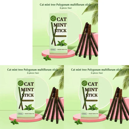 1-3pcs Natural Catnip Pet Cat Molar Toothpaste Stick Cat Snacks Sticks Pet Cleaning Teeth Cat Toys Silver Vine Pet Toy