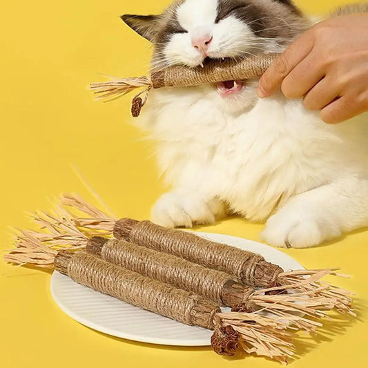 1/2/5/10PCS Pet Toy Natural Pet Cat Snacks Stick Cleaning Tooth Catnip Cat Toys Actinidia Silvervine For Training Cats Accessory