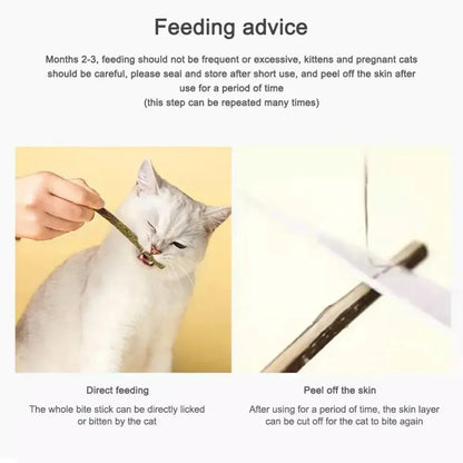 1-3pcs Natural Catnip Pet Cat Molar Toothpaste Stick Cat Snacks Sticks Pet Cleaning Teeth Cat Toys Silver Vine Pet Toy