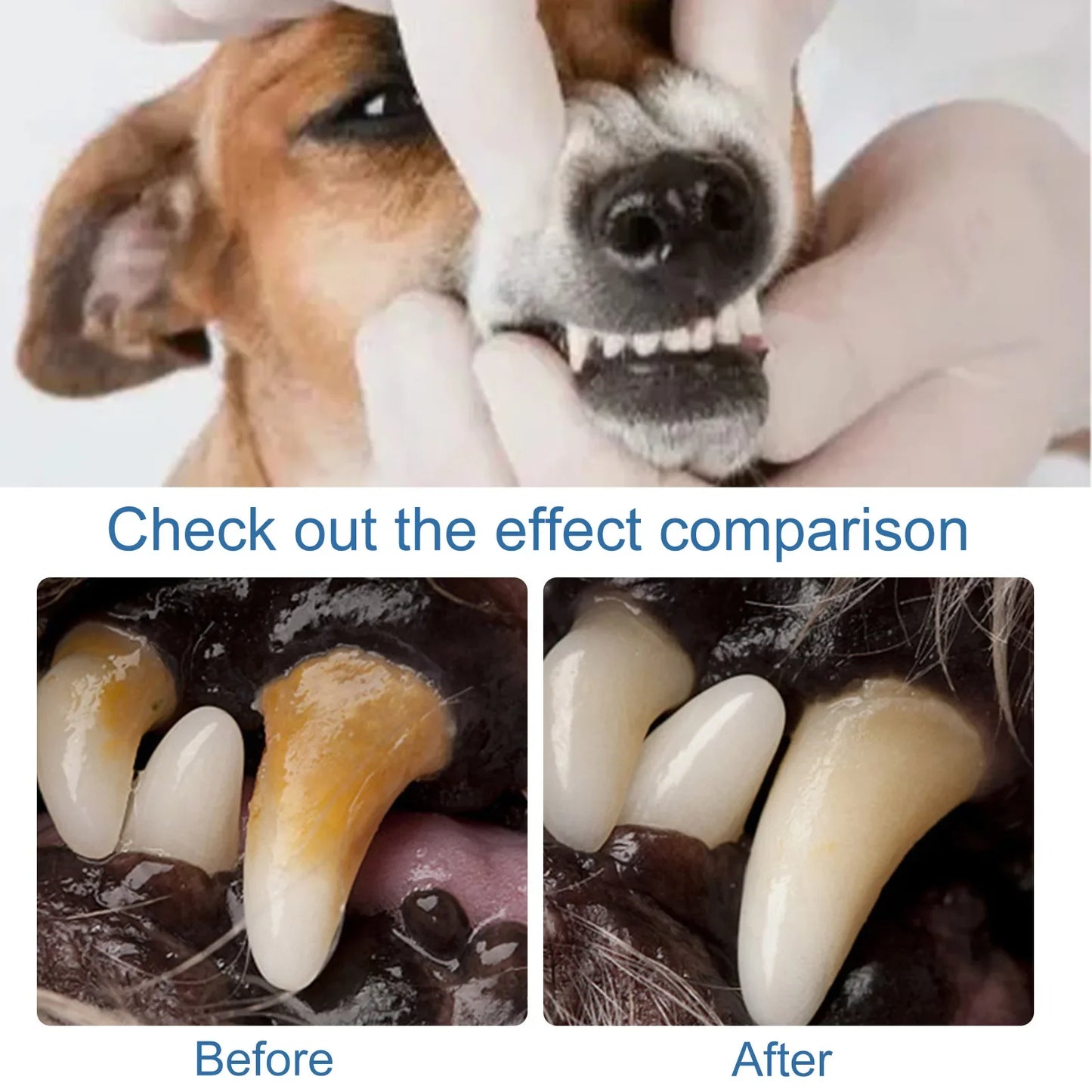 Pet Oral Spray Dental Dirt Remover Cat Teeth Cleaning Breath Freshener Remove Dog Plaque Bad Smell Mouth Harmless Healthy Care