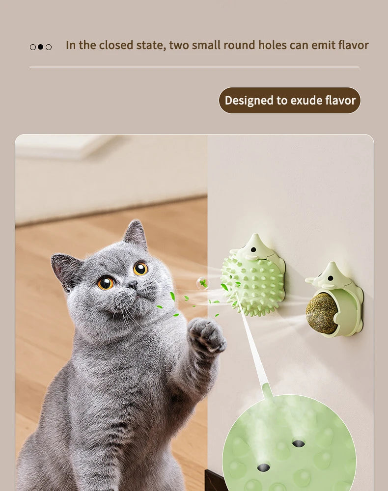Catnip Balls Funny Lickable Cat Snack Catnip Balls Kitten Playing Chewing Cleaning Teeth Toy for Small Medium Cats Pet Supplies