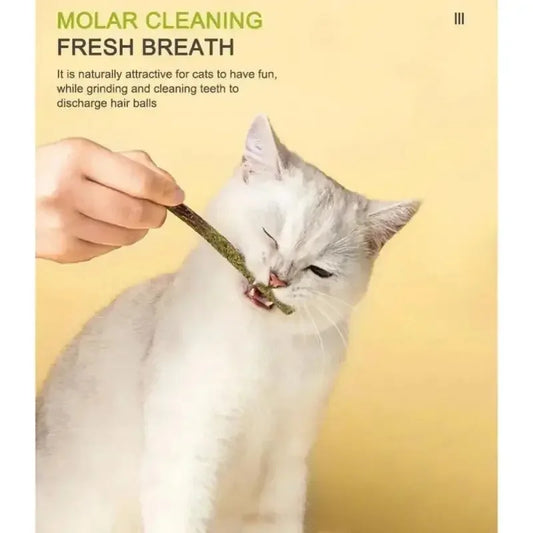 1-3pcs Natural Catnip Pet Cat Molar Toothpaste Stick Cat Snacks Sticks Pet Cleaning Teeth Cat Toys Silver Vine Pet Toy