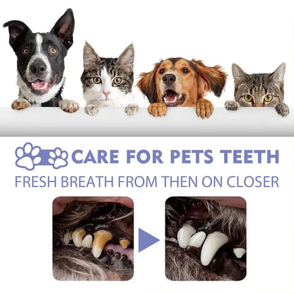 30ml Pet Spray Dog Oral Care Bad Breath Teeth Cleaning Pet Freshener Supply Deodorant Plaque Care Remover Breath Pet Accessories