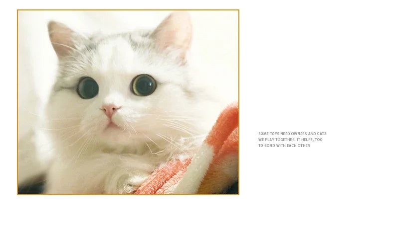 Dr.DC Pet cat toys are self entertaining chew and tease cats toy balls colored wool dog supplies fidget toy for cats accessories