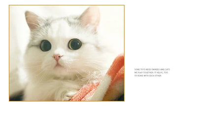 Dr.DC Pet cat toys are self entertaining chew and tease cats toy balls colored wool dog supplies fidget toy for cats accessories