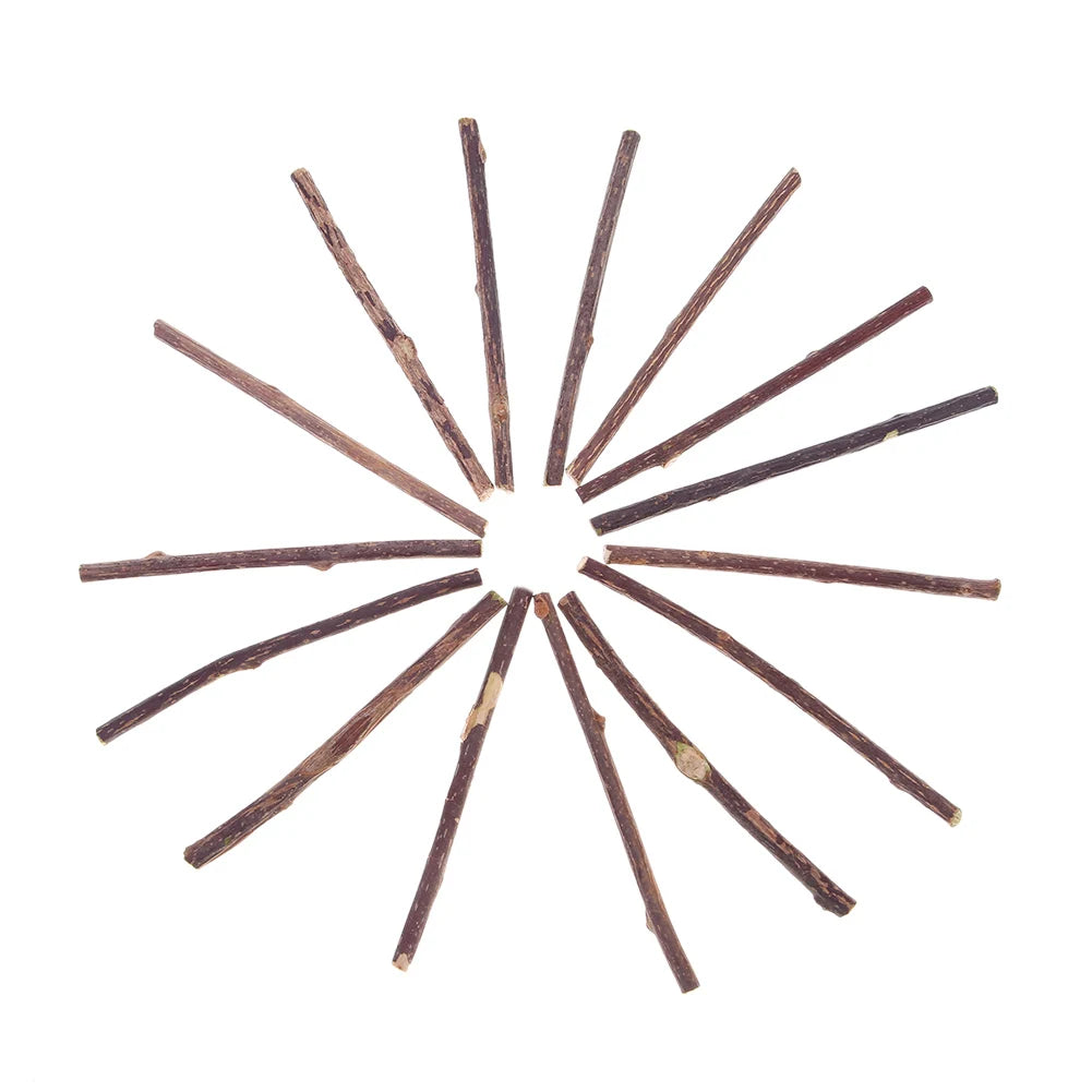 Cat Snacks Sticks Catnip Puppy Pet Dogs Cat Chew Molar Toys Fruit Matatabi Cats Cleaning Teeth Funny Bite Squeak Bauble