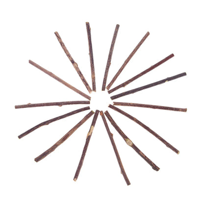 Cat Snacks Sticks Catnip Puppy Pet Dogs Cat Chew Molar Toys Fruit Matatabi Cats Cleaning Teeth Funny Bite Squeak Bauble