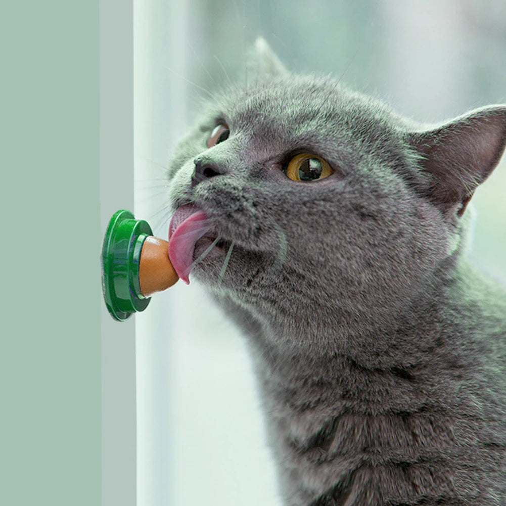 Cat Catnip Licking Candy Snack for Kitten Nutrition Fish Gel Energy Sugar Ball Kitten Increase Drinking Energy Ball Snack